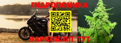спайс Дубна