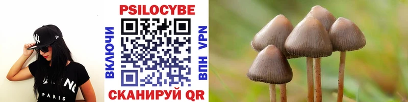 Галлюциногенные грибы Psilocybe  mega ссылка  Кудрово 