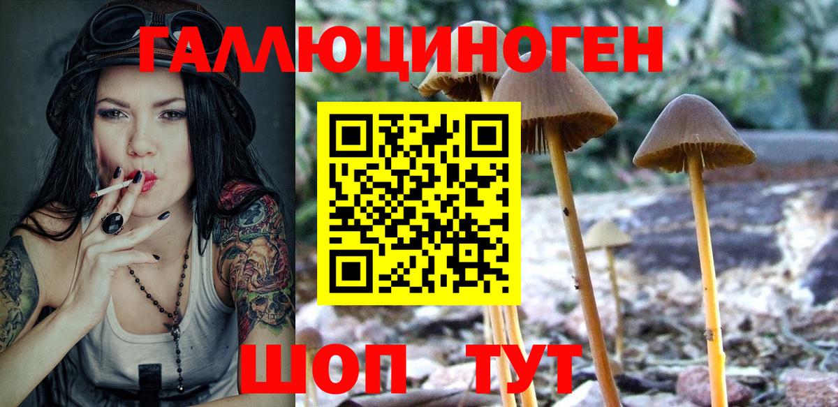 Псилоцибиновые грибы MAGIC MUSHROOMS Кудрово